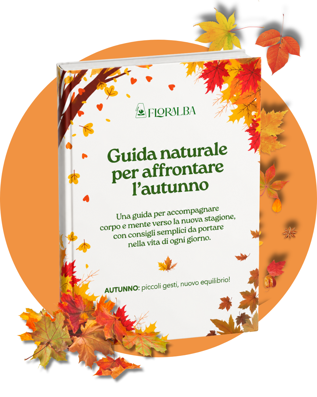 Guida naturale per l’autunno